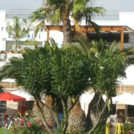 Zona Naturista Appartement